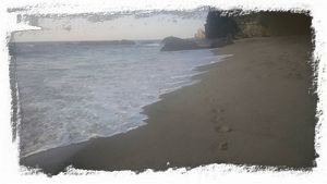 Take a walk on the beach before breakfast!!