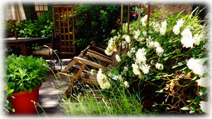 Garden Room Terrace