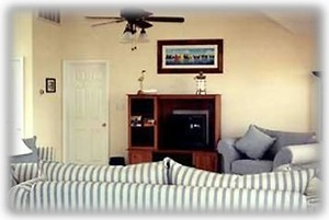 Spacious & Comfortable Living Room