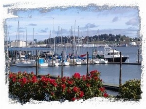Port Orchard Marina  Take the Foot Ferry from here across to Bremerton Waterfron