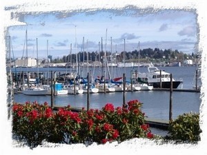 Port Orchard Marina Take the Foot Ferry from here across to Bremerton Waterfron