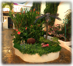 Garden entrance to Casa Pacifico property