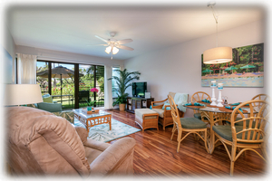 View through to the garden and lanai.