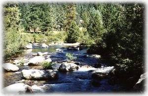 South Fork of Stanislaus River
