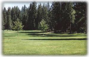 Twain Harte Golf Course