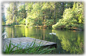 Twian Harte Lake