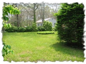 Side yard