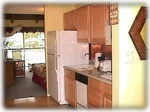 Newly Remodeled Kitchen