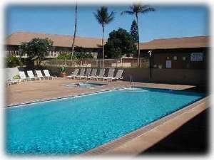 Huge Pool & Jacuzzi