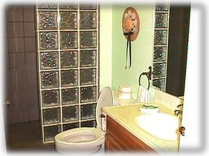 Bathroom with Shower