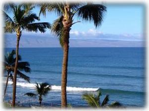 Surf's Up!