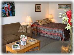 Queen Bed & Queen Sleeper Sofa