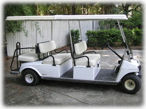Our stretch golf cart holds 6 adults - included