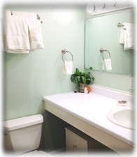 Master 4 Piece Bathroom - en suite - bright and cheery