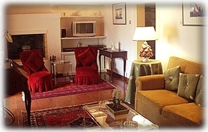 Elegant Living room 