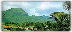 View of Ha'upu mountain range from the living room