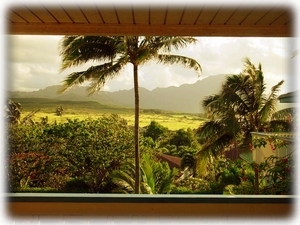 Sunrise View from Bed.