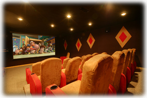 Theater Room