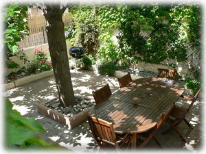 the garden