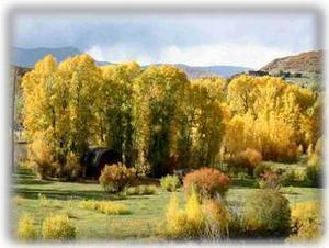 Steamboat is Gorgeous, filled with fall colors, all year round!