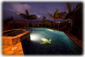 Pool at night: dolphin and turtle mosaic