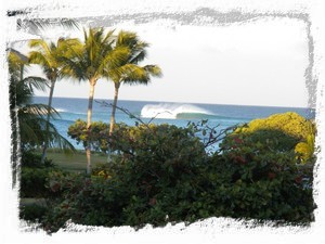 Surf's up! as seen from our lanai