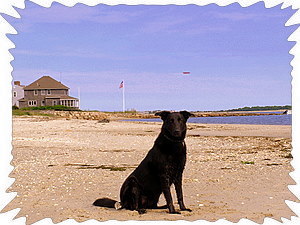Ferry terminal is 3 minute walk